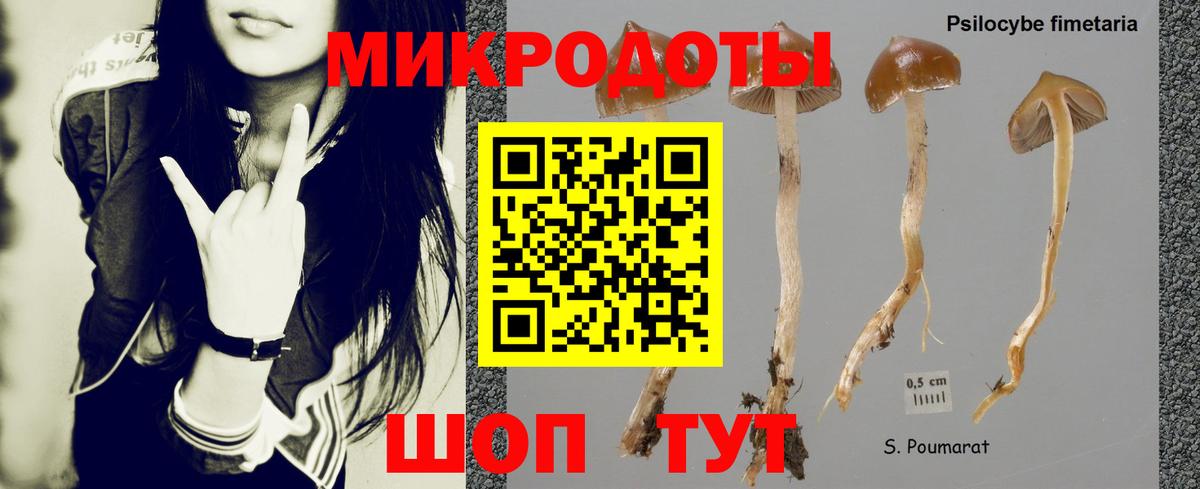 Галлюциногенные грибы Magic Shrooms  Галлюциногенные грибы мухоморы  даркнет сайт  Липецк  Вход с VPN 